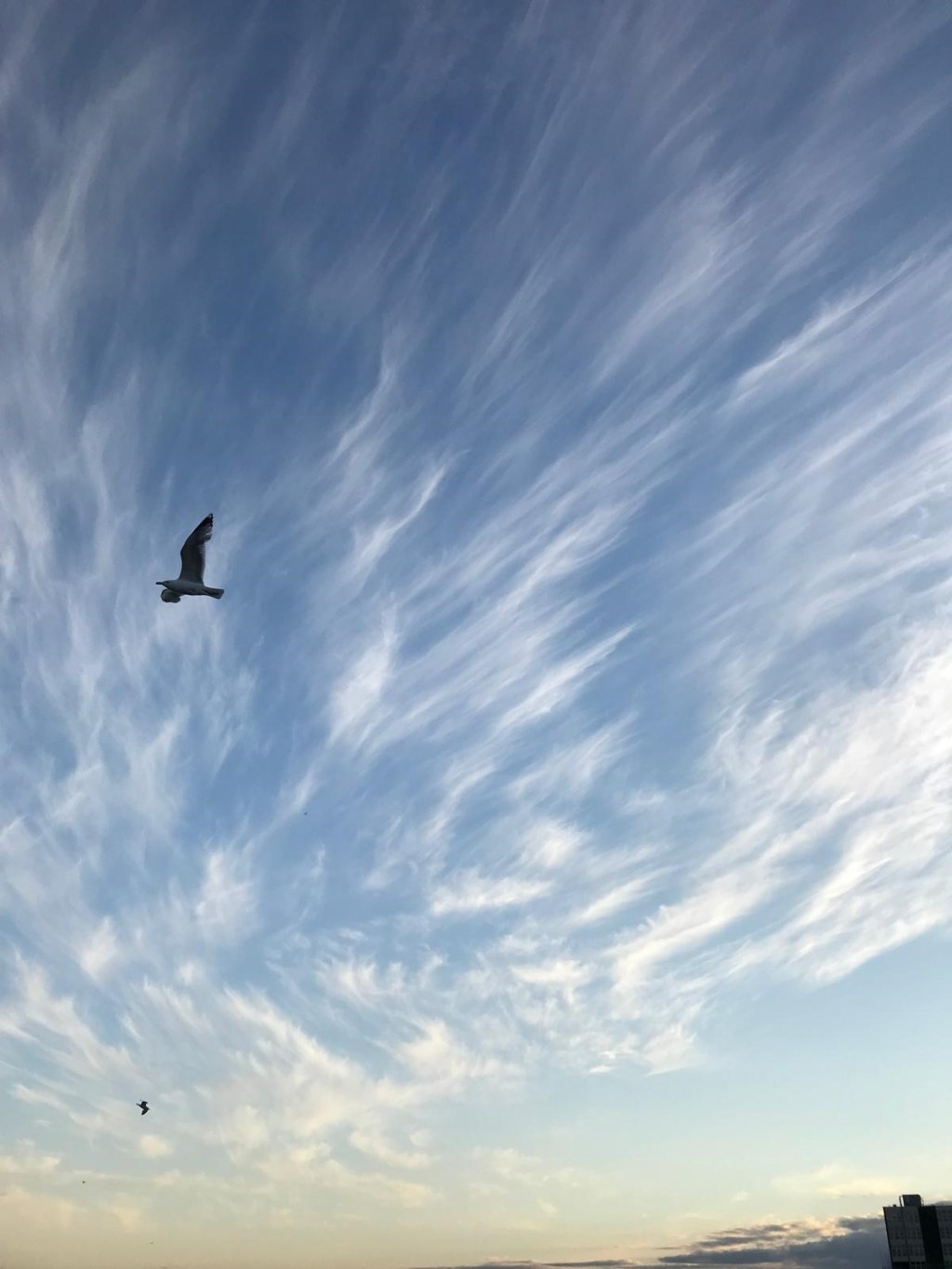 I will always find&nbsp;you